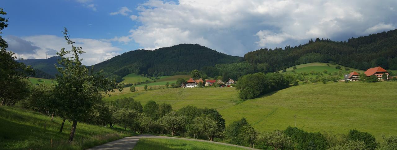 Hotel Fuxxbau Fischerbach Extérieur photo